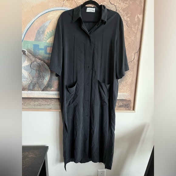Aritzia Babaton 10- 100 % SILK Long Shirt Dress size 2 - Picture 1 of 8